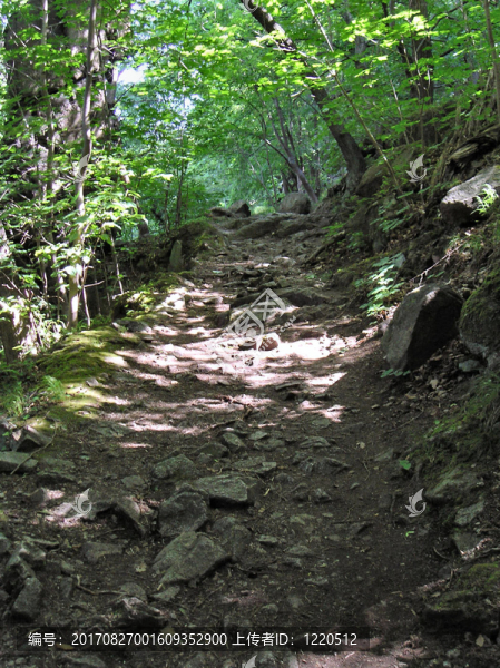 TRAIL,E,11