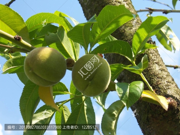健康