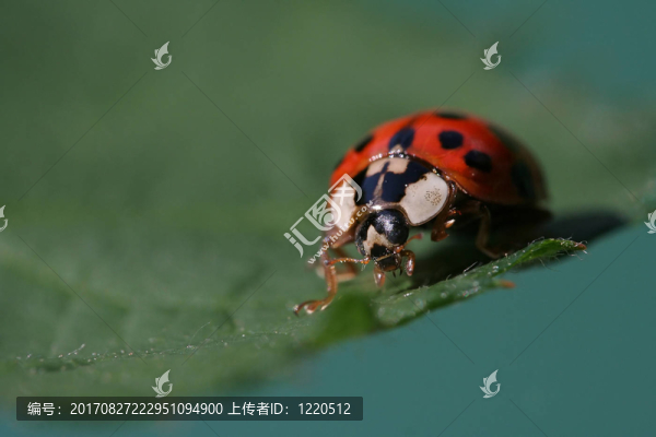 在路上