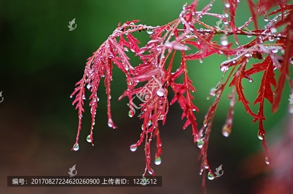 下雨天