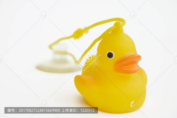 鴨子