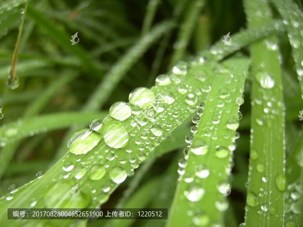 雨點(diǎn)04