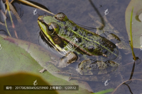 宏觀上