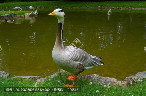 岸站
