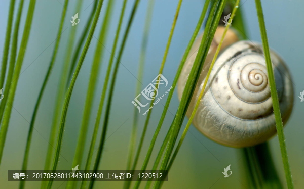 休息的地方