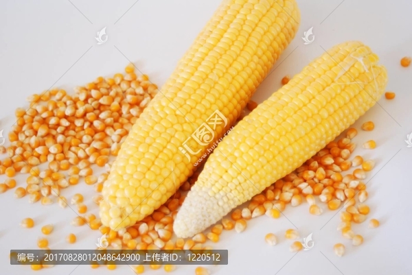 食品