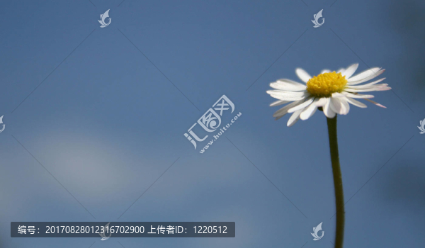藍(lán)色