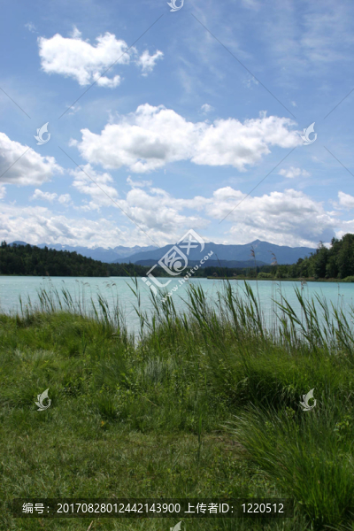 山