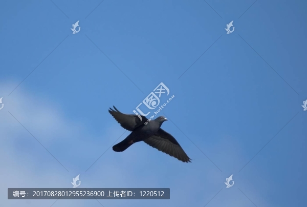藍(lán)色