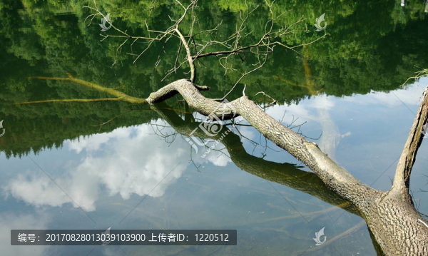 去游泳