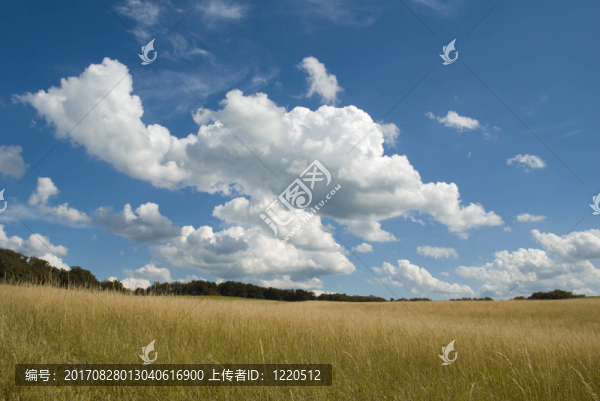 藍(lán)色的天空