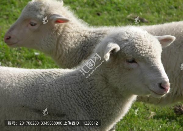 分裂