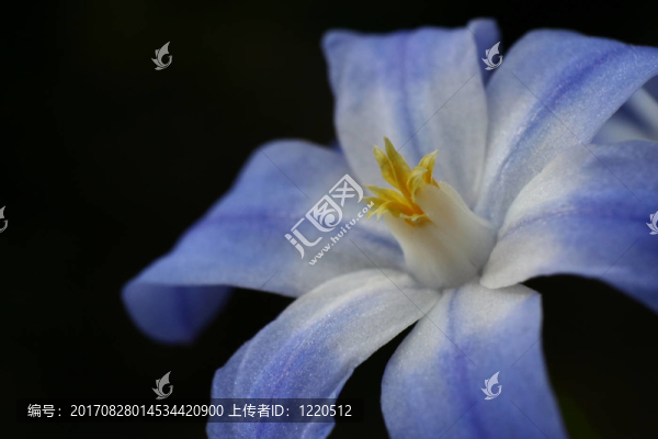藍(lán)色的