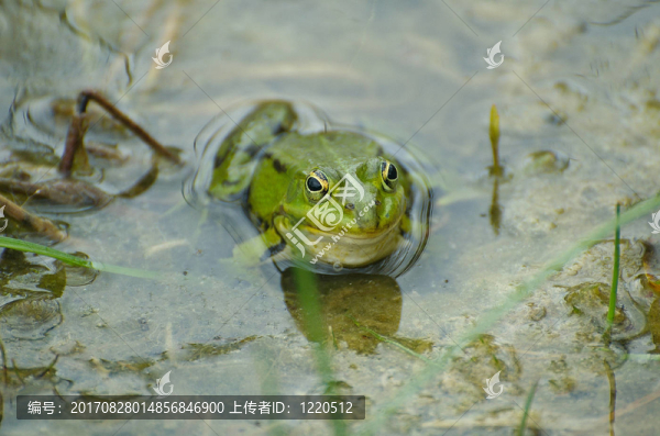吻我，盡管如此