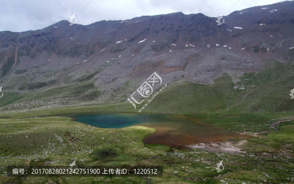 langsee