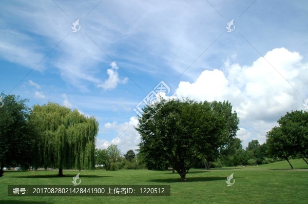 在公園里