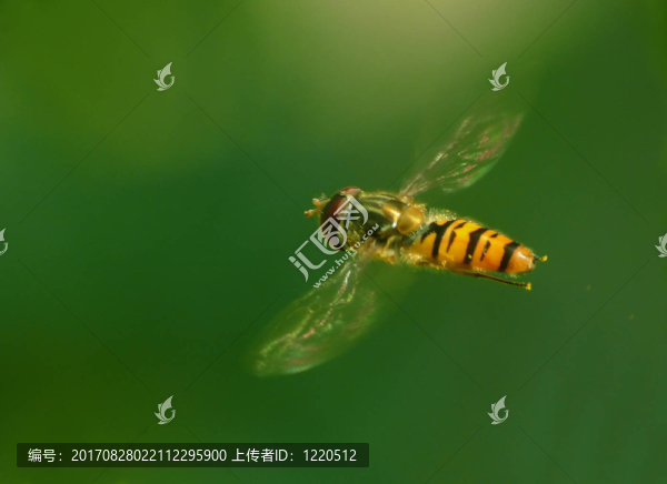在玻璃上擺動(dòng)