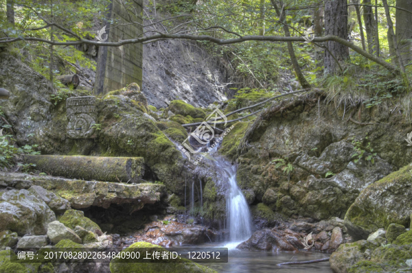 nature,park,schwarzau,im,gebirge