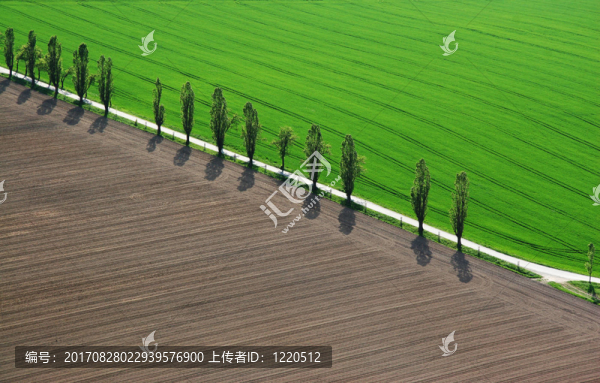 大街