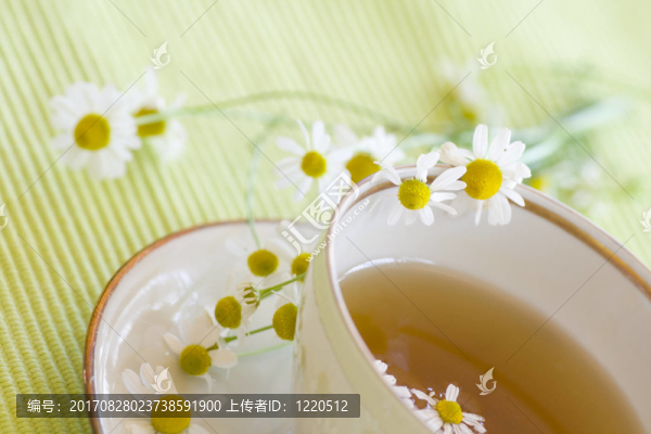 甘菊茶
