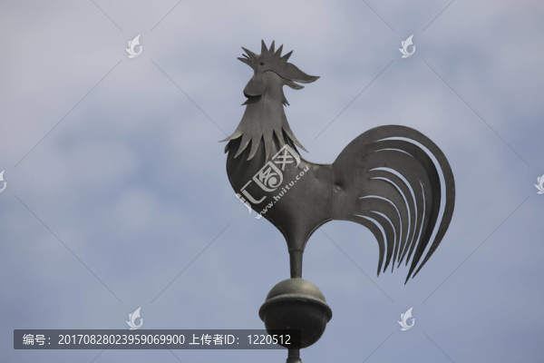 風(fēng)標(biāo)