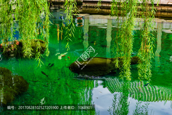 趵突泉公園