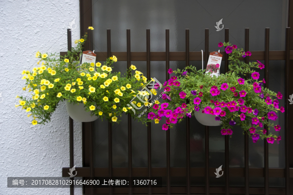 吊籃