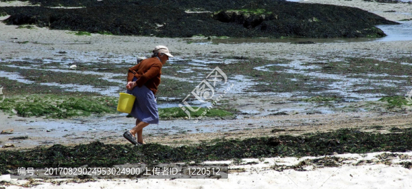 女人在海上