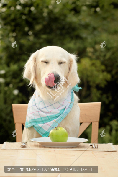 食品