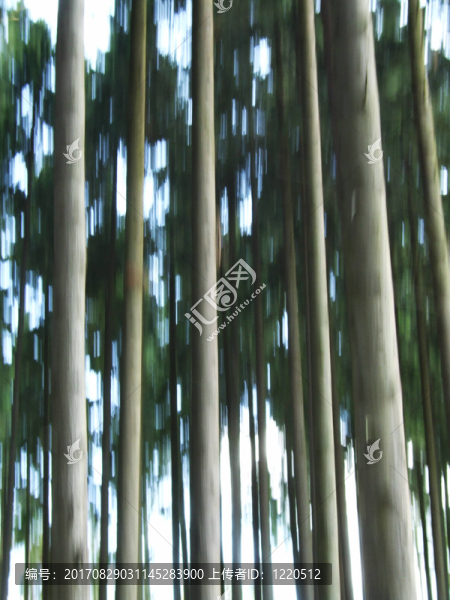 閃耀