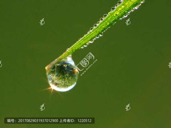 水是生命