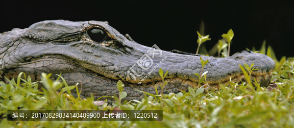 危險(xiǎn)