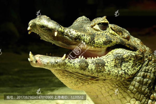 是什么呢？