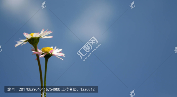 藍色