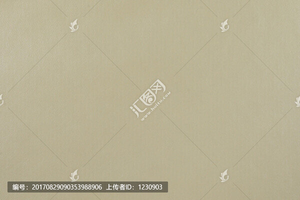 皮紋