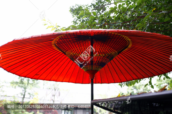 油紙傘,紙傘,傘,雨傘,遮陽傘