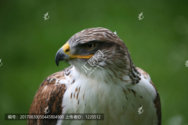 鐵銹色