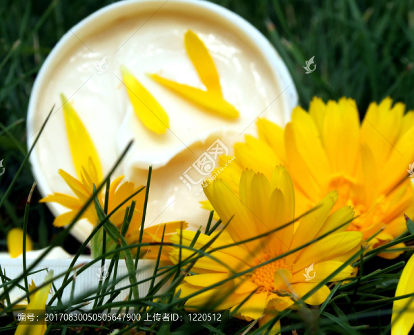 ringelblumensalbe