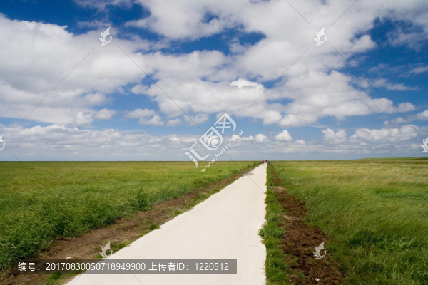 鹽沼