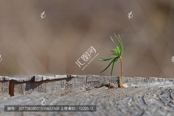 結(jié)束可以是第二次開(kāi)始。