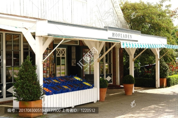 農(nóng)家店2