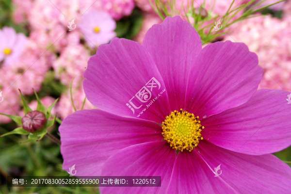 我們