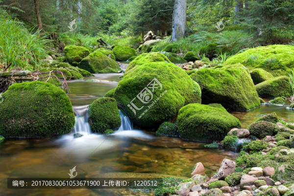 純粹的放松