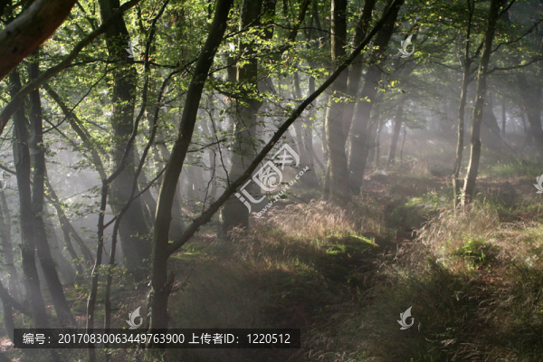 feenwelt的…