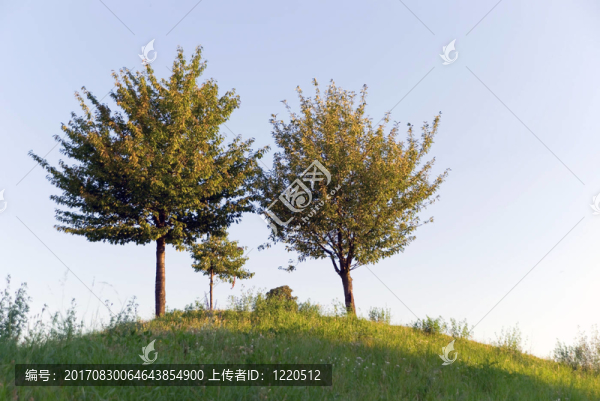 在公園里