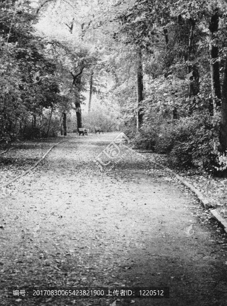 穿過公園的路