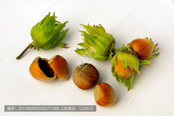 黑茲爾07