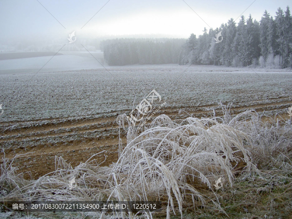 raureiflandschaft