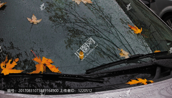 汽車的秋天