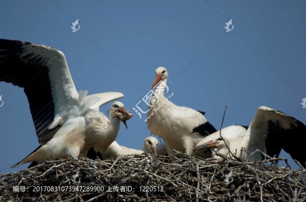 從鼠標(biāo)